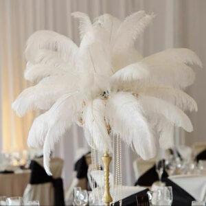 Ostrich feather