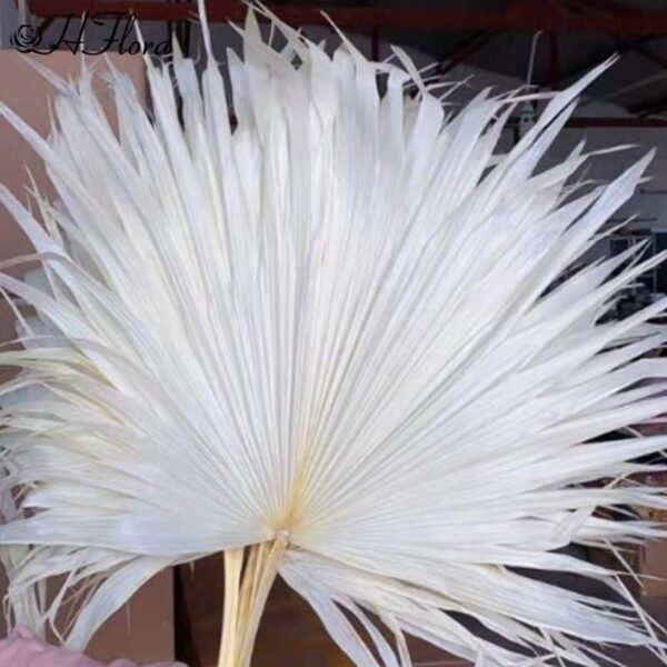 white palm leaves