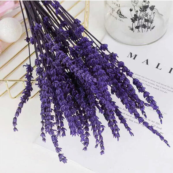 Preserved Lavender