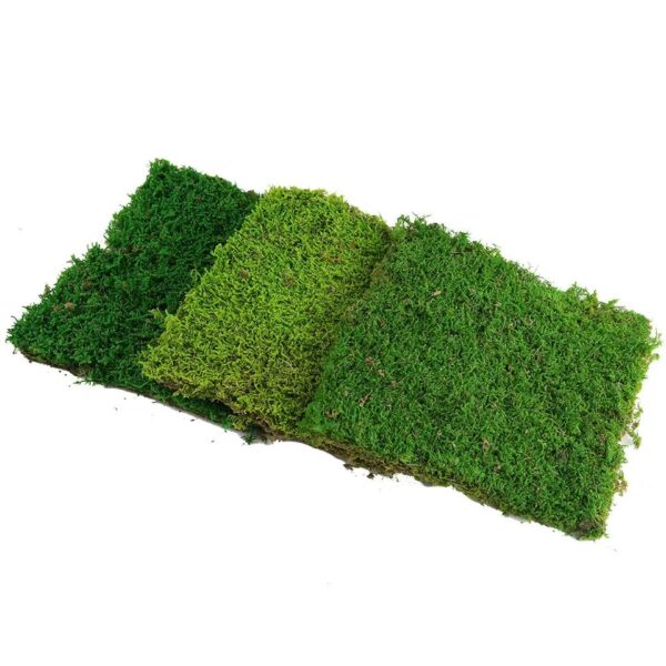 Preserved flat moss
