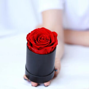 Single-preserved-rose-box
