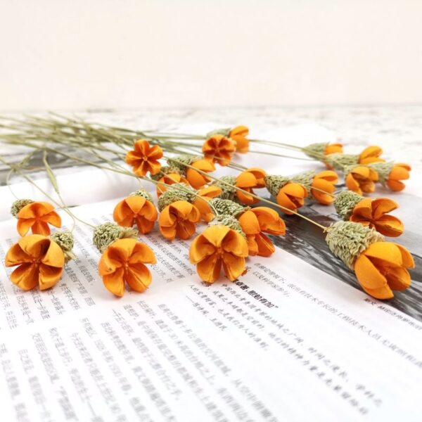 dried flower happy fruit