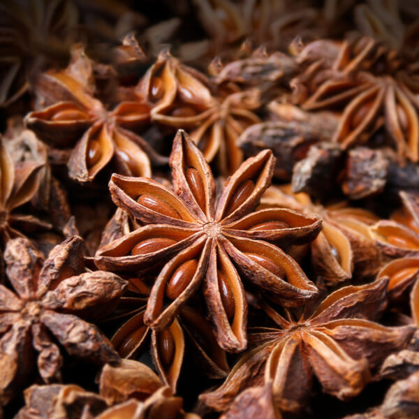 Dried anise